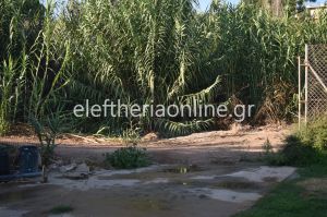 vandalismoi ghpedo korwnhs 1